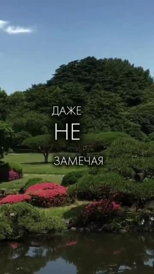 Почему Аллах запретил маты